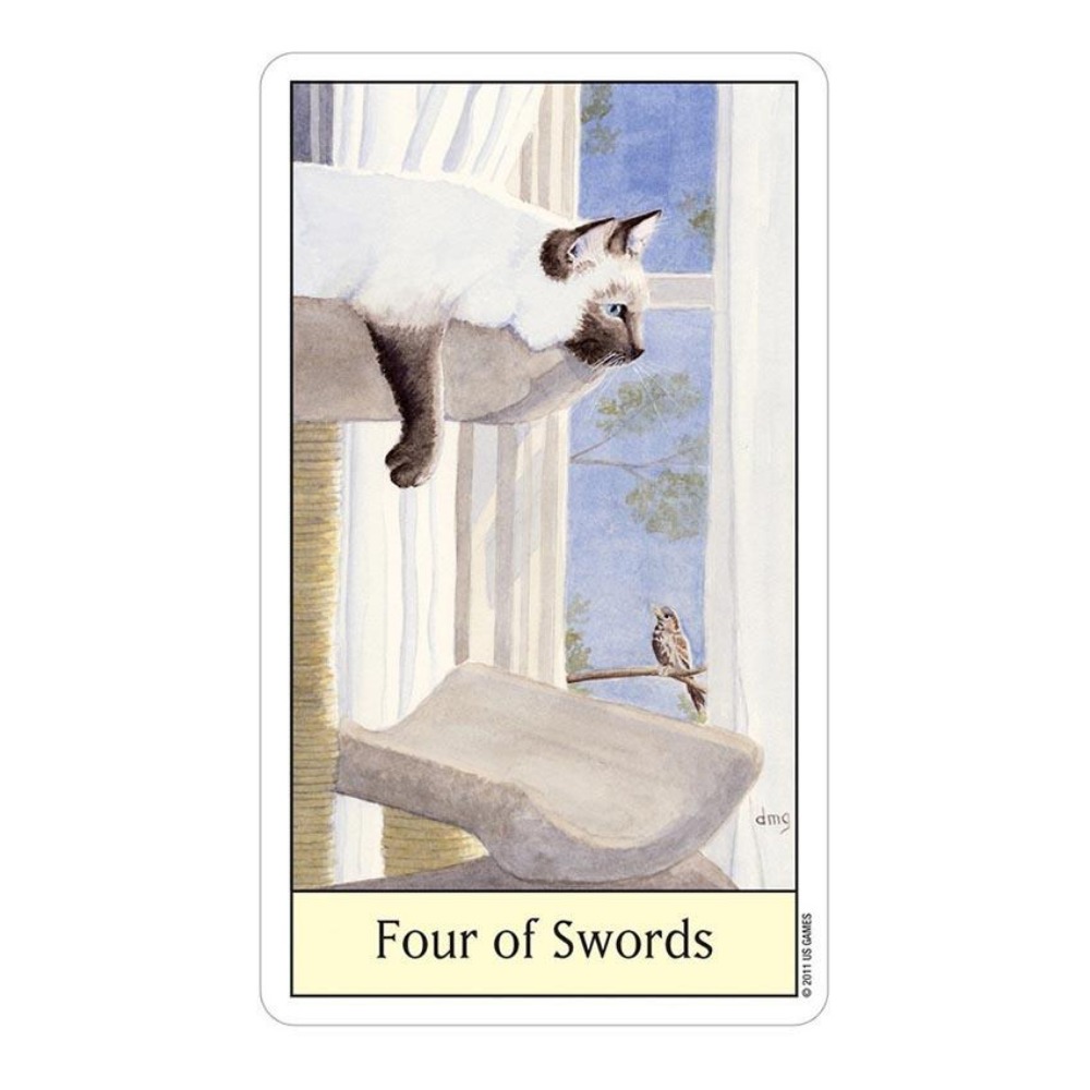 Tarot Deck With Guidebook - キャットアイタロットカードゲーム、12x7 cm、ゲーム
